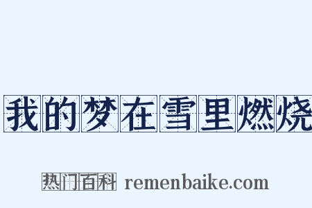 我的梦在雪里燃烧是什么意思的图片